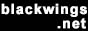 Blackwings' .hack Archive on the Wayback Machine